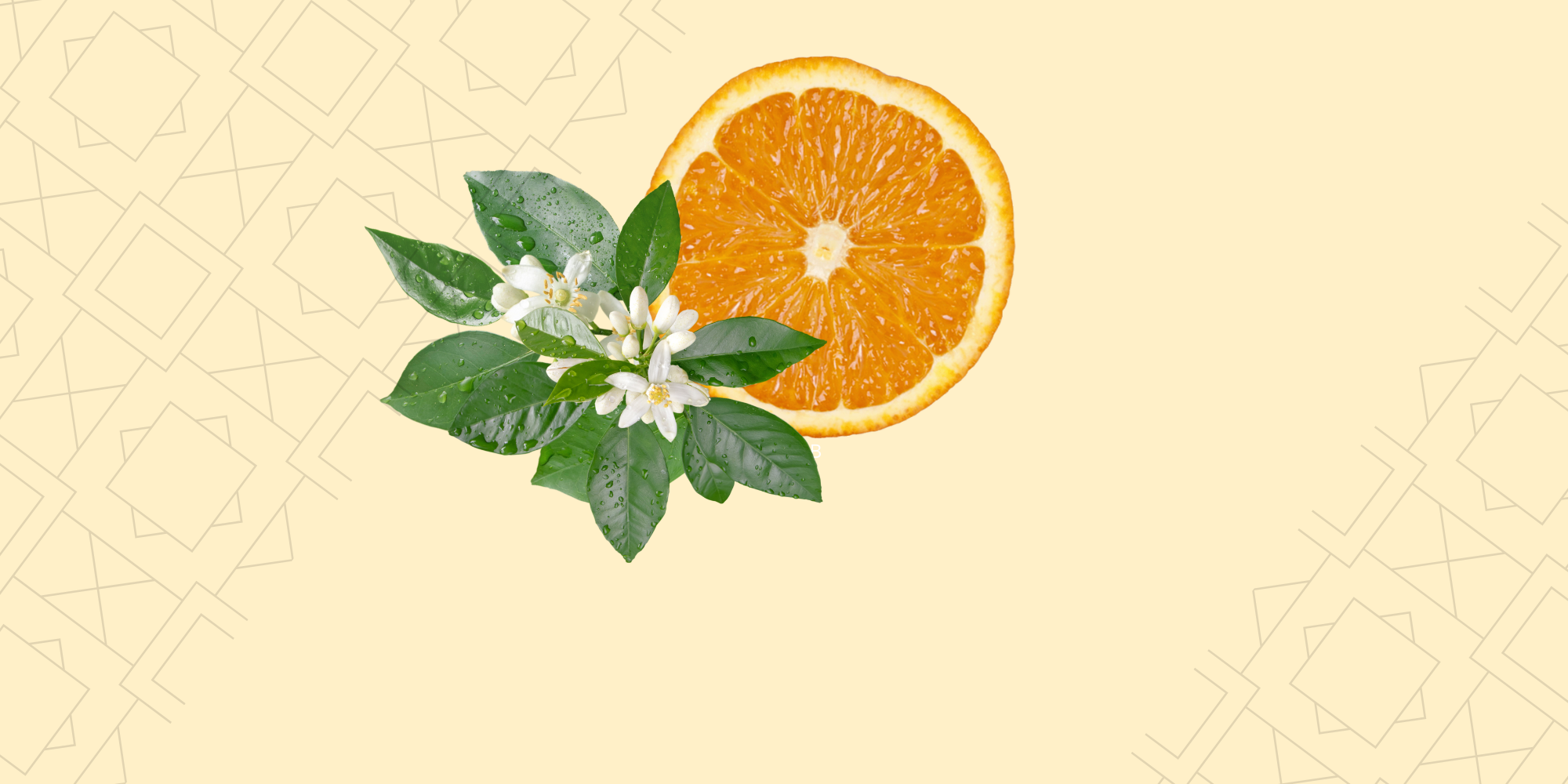 Nectar de Marrakech (Fleur d'Oranger)