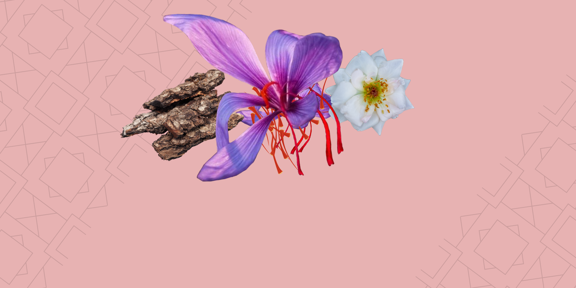 Oriental Marocain (Oud - Musc Blanc - Safran)