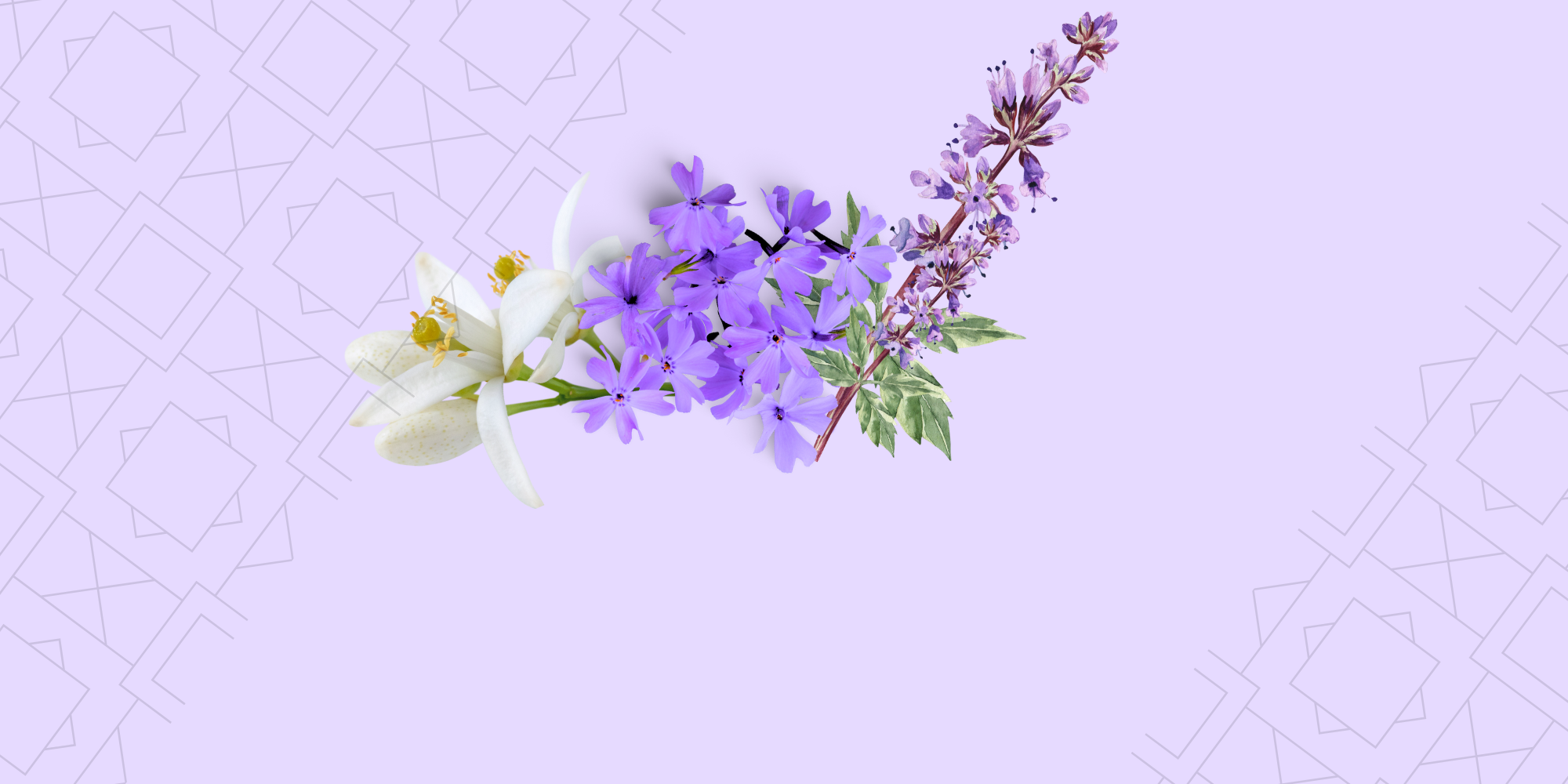 Sérénade Printanière (Néroli - Patchouli - Violette)